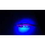 DTD X Fish #1.5 / #2.0 / #2.5 - Image 11