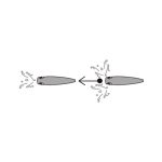 Yozuri 3D Inshore Popper 90mm - 24gr - Image 17