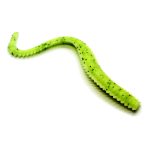 Oceanic Team Sea Worm - Ακροβάτης - Image 3