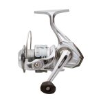 Robinson Bayard FD